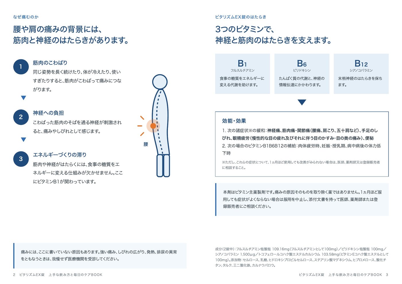 P2-3見開き。痛みの背景を3段の図解で説明し、右ページに効能効果の全文を掲載